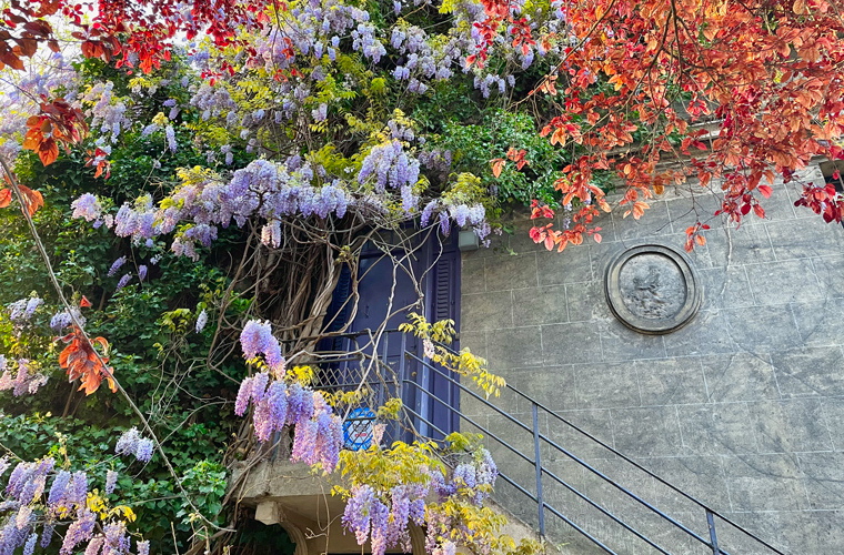 Quaint square montsouris - A door wrapped in full spring flowering trees glory