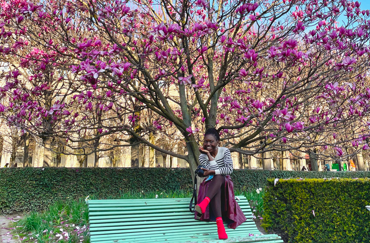 Snippets of a lockdown wonderland - Magnolia blooms: an explosion of colour at a very quiet Palais Royal gardens