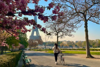 celebrations of Hanami in Paris - a girl walking beside her bicycle as cherry blossoms and the Eiffel Towel glow in the morning light