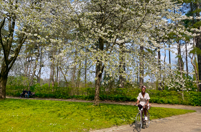 Celebrations Hanami: To catch this light in the white esplanade, i had to cycle a little over 1hr from home