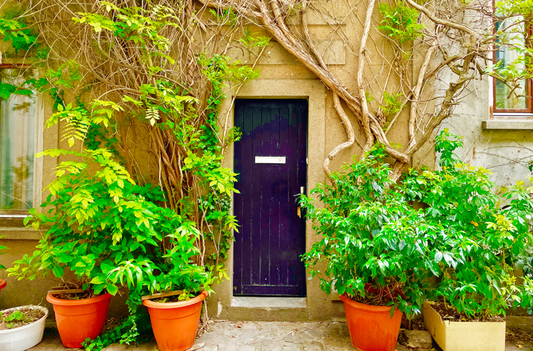 Twining wisterias wrapped around a door, a scene that seems straight out of a green fairytale