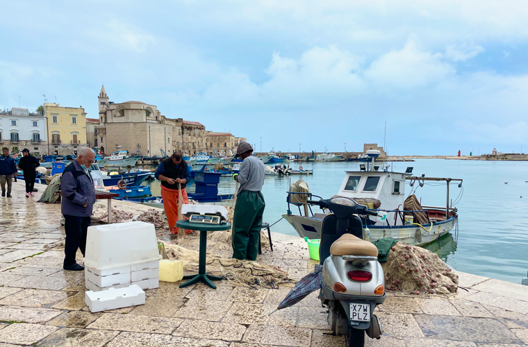 Solo road trip in Italy fishermen selling the catch of the day at Giovinazzo's port